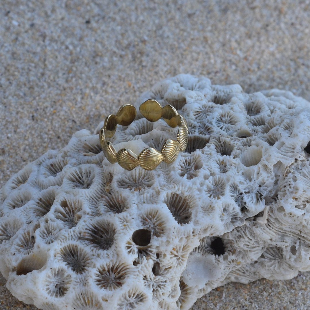 Mini Shell Ring - Goldieboxx Jewellery