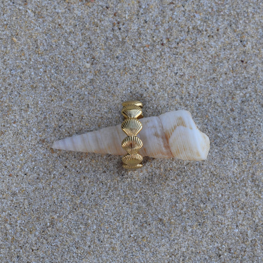 Mini Shell Ring - Goldieboxx Jewellery