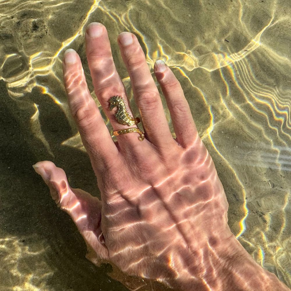 Seahorse Ring - Goldieboxx Jewellery